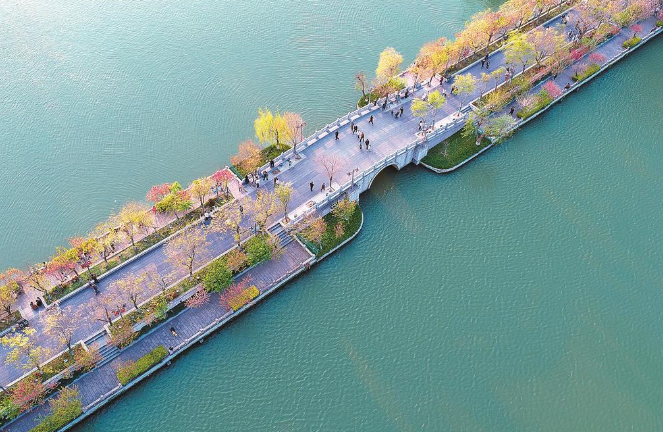 凯发k8西湖 桃红柳绿